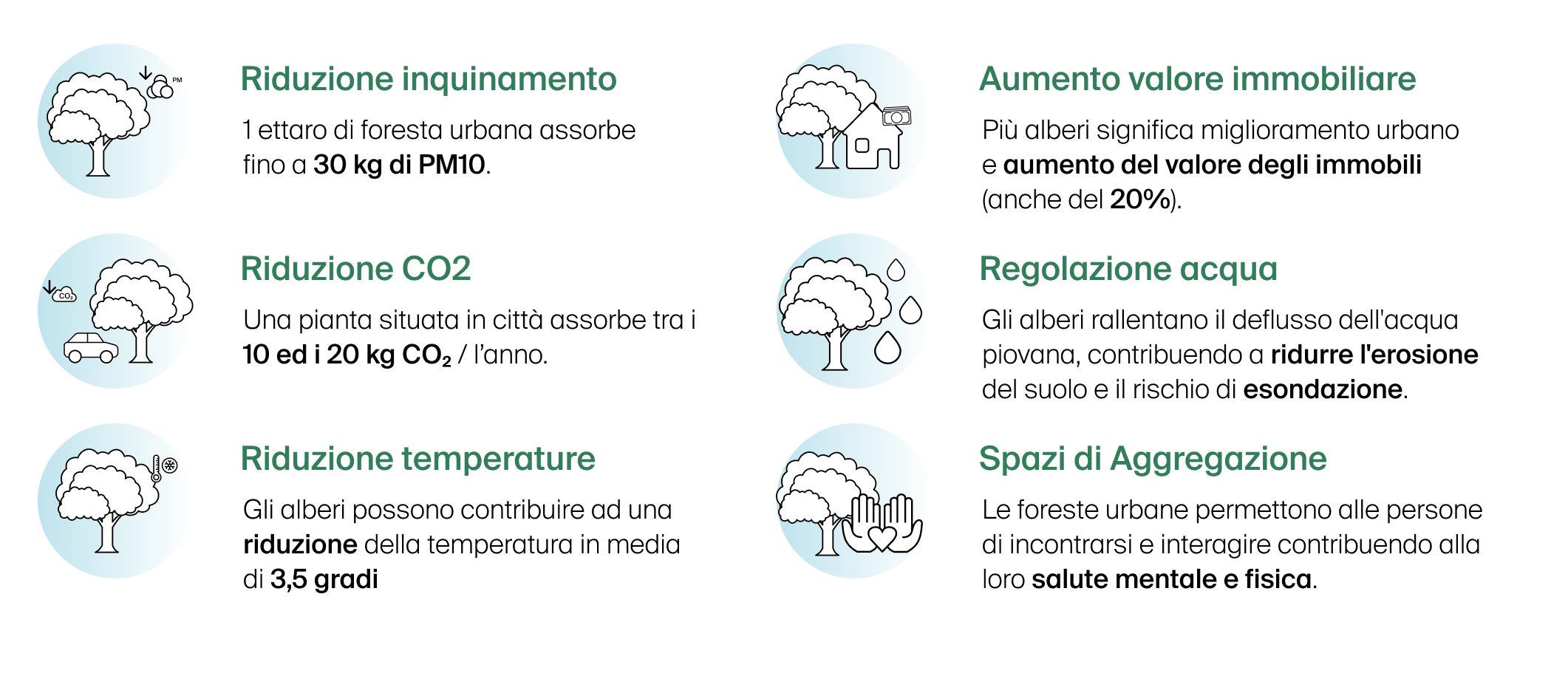 1 ettaro di foresta urbana assorbe fino a 30 kg di PM10. Più alberi significa miglioramento urbano e aumento del valore degli immobili (anche del 20%). Una pianta situata in città assorbe tra i 10 ed i 20 kg CO2 / l’anno. Gli alberi rallentano il deflusso dell'acqua piovana, contribuendo a ridurre l'erosione del suolo e il rischio di esondazione. Gli alberi possono contribuire ad una riduzione della temperatura in media di 3,5 gradi Le foreste urbane permettono alle persone di incontrarsi e interagire contribuendo alla loro salute mentale e fisica.