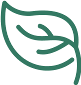 Icon wind