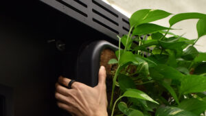 Manutenzione della parete verde respirante Aura