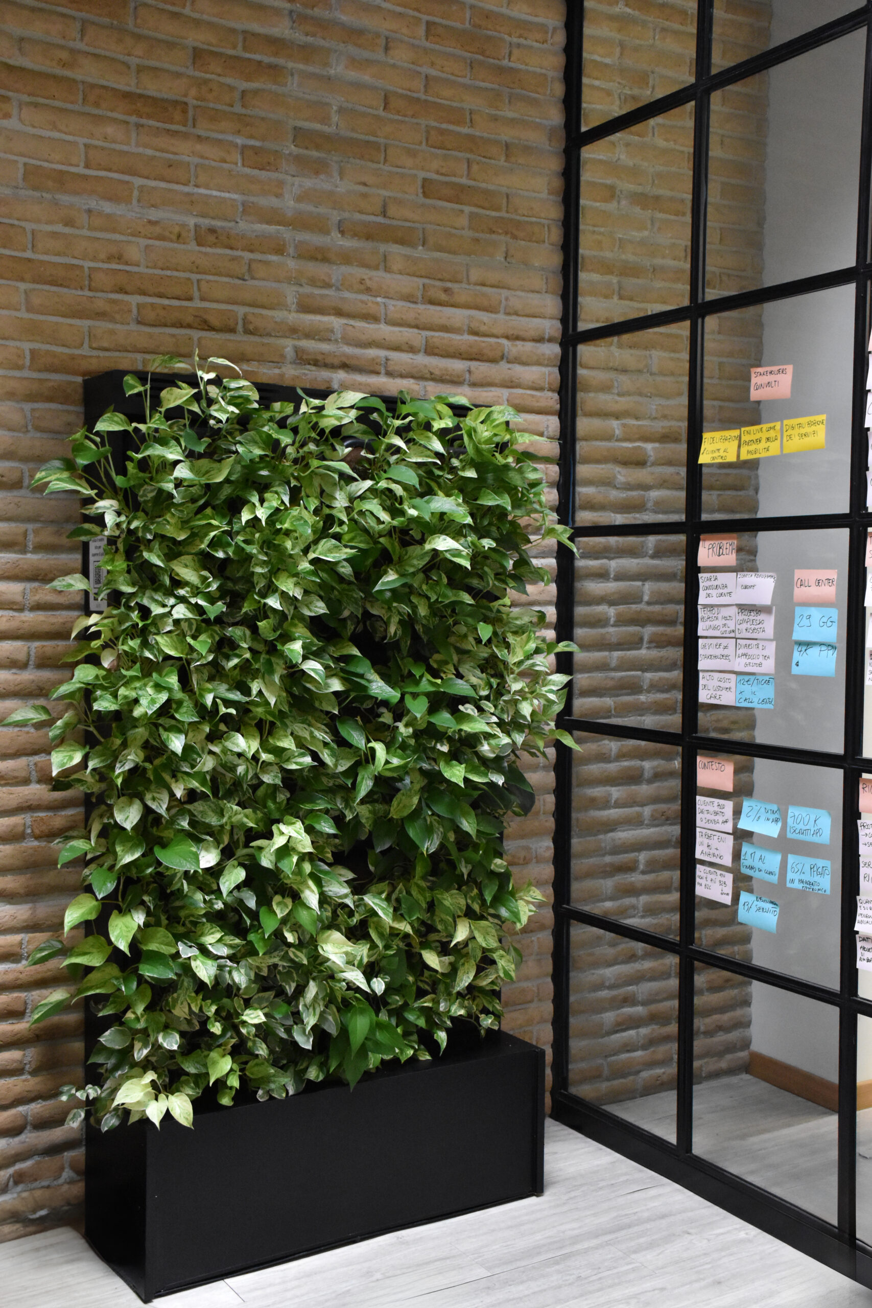 Parete verde respirante Aura installata in ufficio