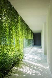 Corridoio esterno della casa pieno di piante