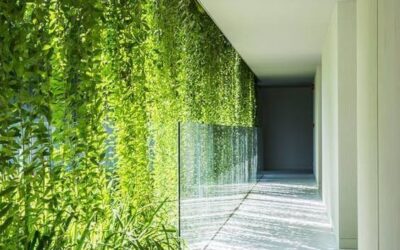 Biophilic Design: perché alcuni spazi ci fanno stare meglio