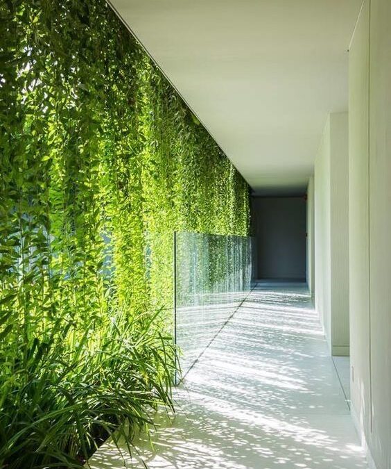 Biophilic Design: perché alcuni spazi ci fanno stare meglio