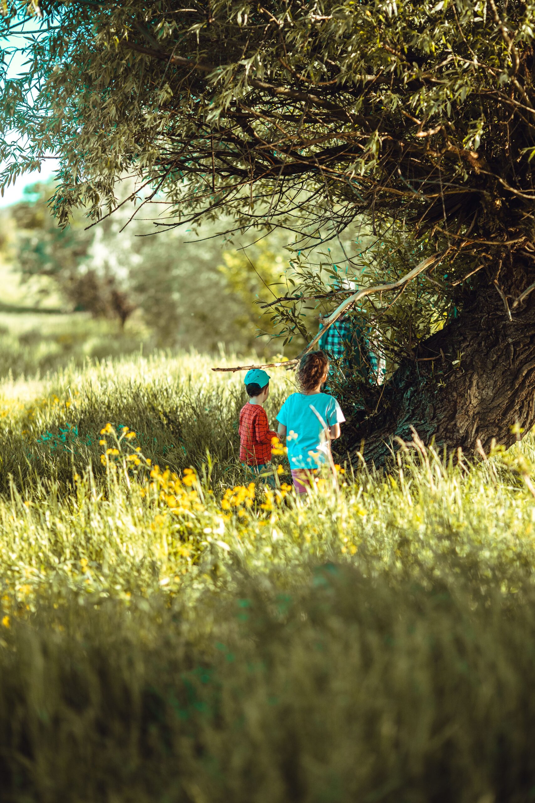 Due bambini giocano ed esplorano la natura sotto un grande albero in un prato verde.